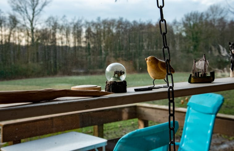 Natuurhuisje in De Lutte in Twente