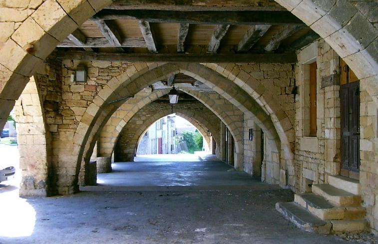 Natuurhuisje in Villefranche-du-Périgord