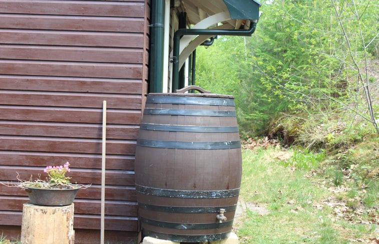 Natuurhuisje in Ommen