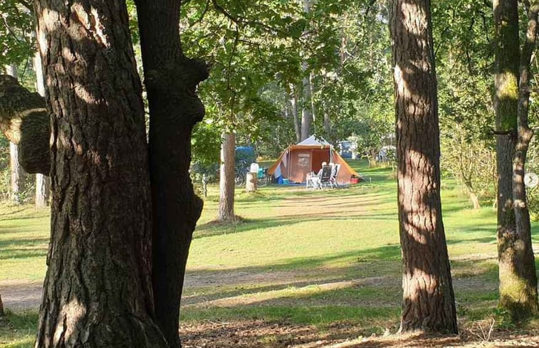 Natuurhuisje in Norg