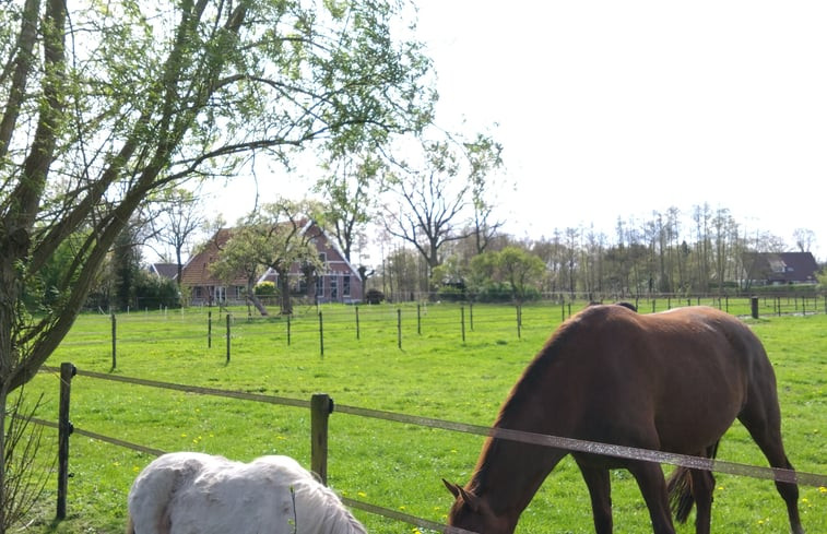 Natuurhuisje in Hengelo