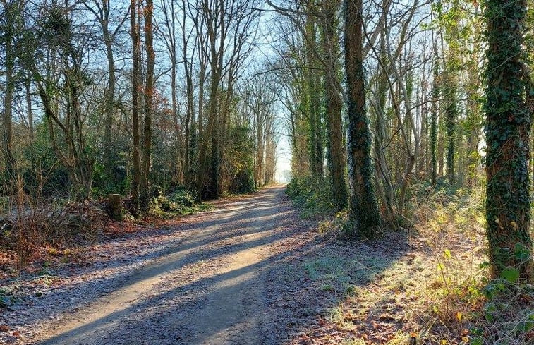 Natuurhuisje in Gieten