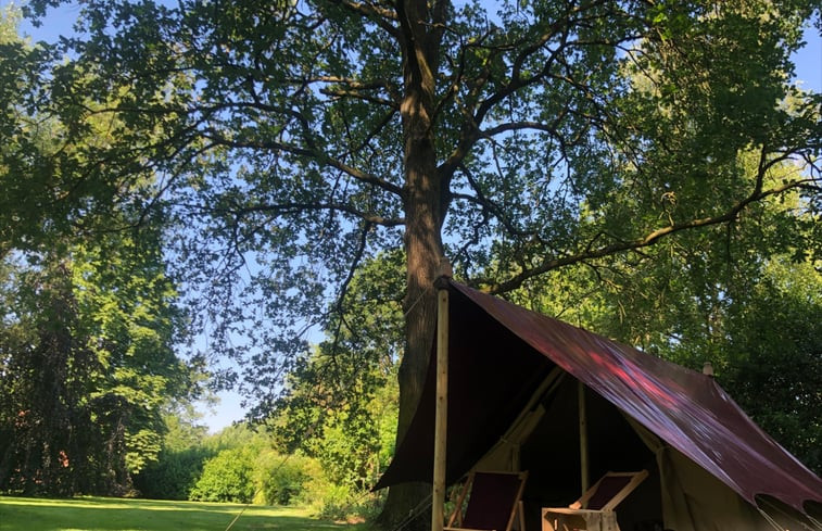 Natuurhuisje in pelt