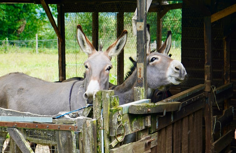 Natuurhuisje in Sainte Nathalene