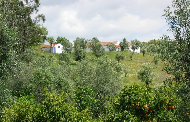 Natuurhuisje in Grandola