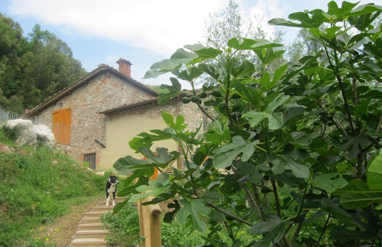 Natuurhuisje in Valdottavo,Borgo a Mozzano