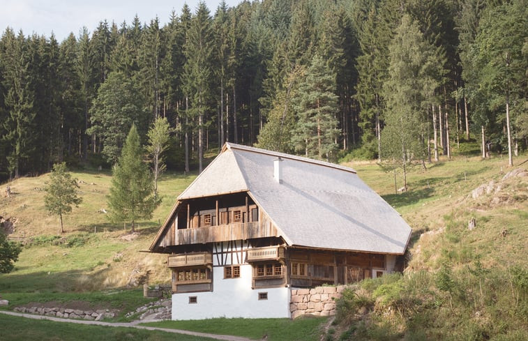 Natuurhuisje in Schonach