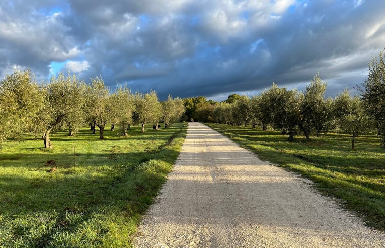 Natuurhuisje in Amelia - Porchiano del Monte