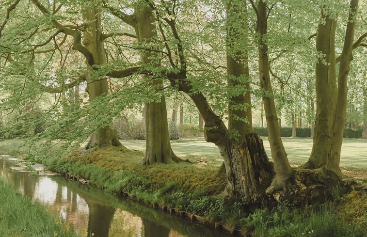 Natuurhuisje in Oelegem