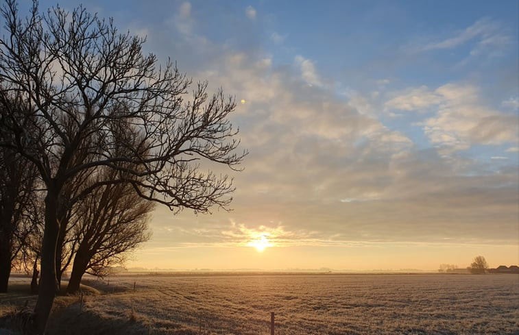 Natuurhuisje in Hornhuizen