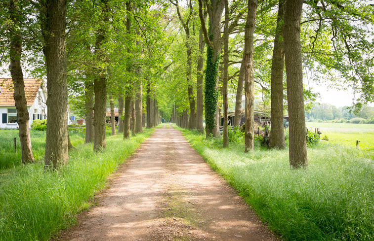 Natuurhuisje in Winterswijk