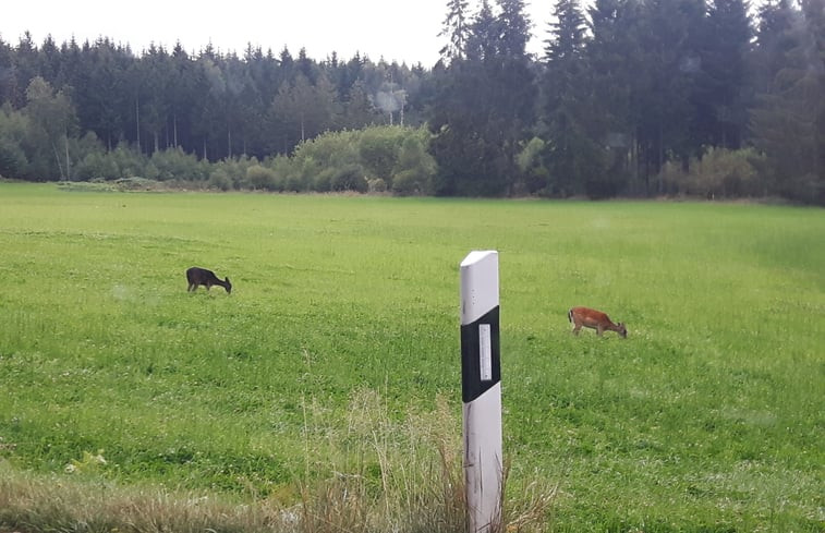 Natuurhuisje in Kopp