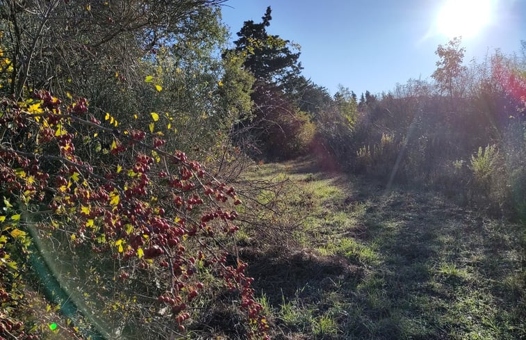 Natuurhuisje in Rastignano