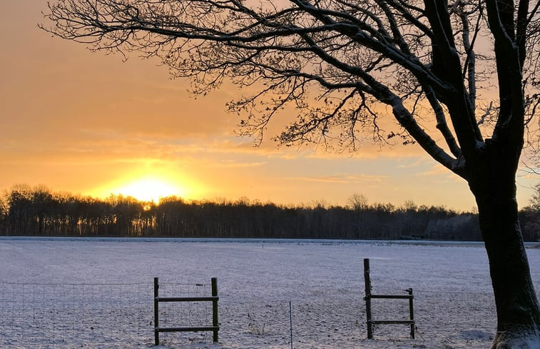 Natuurhuisje in Bruchterveld