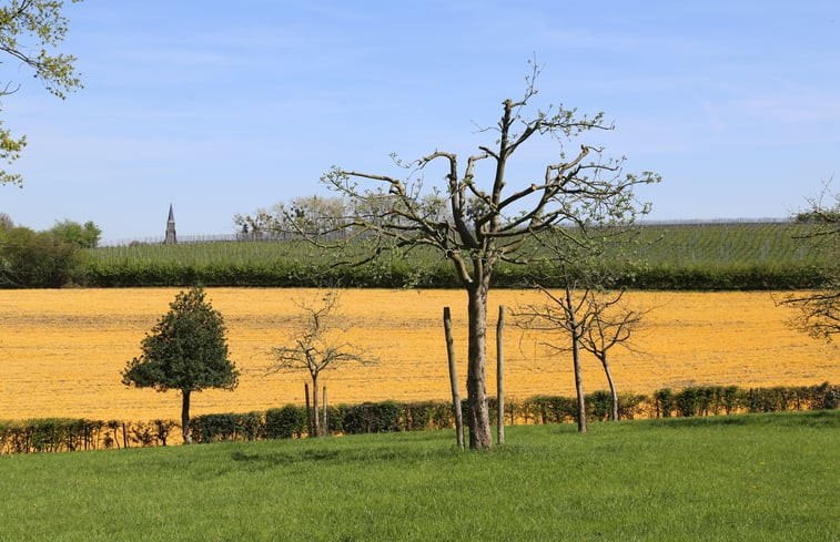 Natuurhuisje in Vijlen