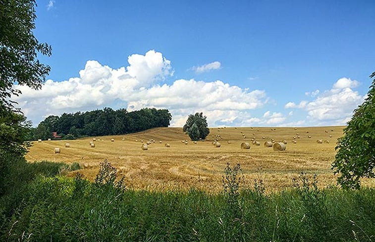 Natuurhuisje in Satow