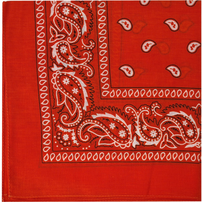 Prowler Red Hanky - Orange