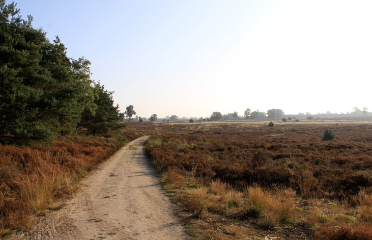 Natuurhuisje in Holten