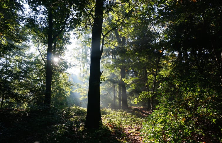 Natuurhuisje in Riel