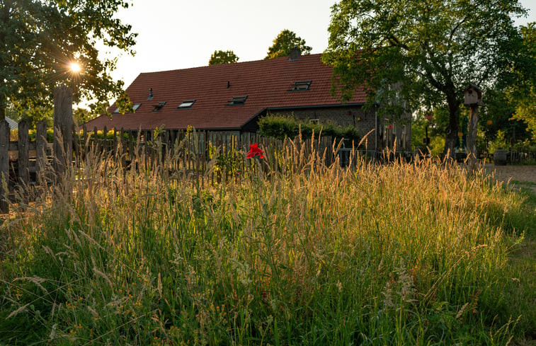 Natuurhuisje in Lierop