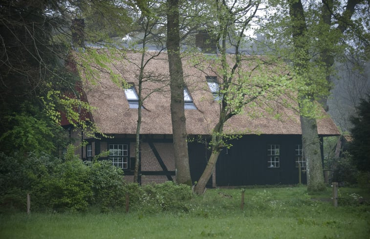 Natuurhuisje in Rolde