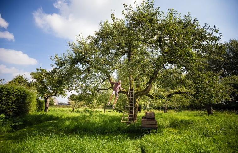 Natuurhuisje in Culemborg