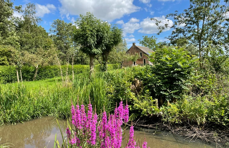 Natuurhuisje in Brandwijk