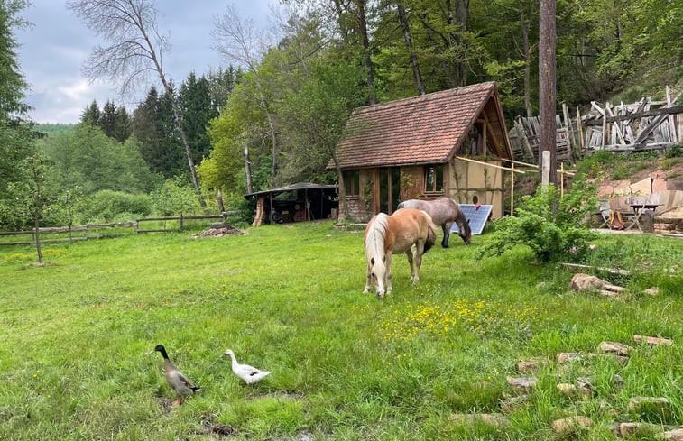 Natuurhuisje in Trippstadt