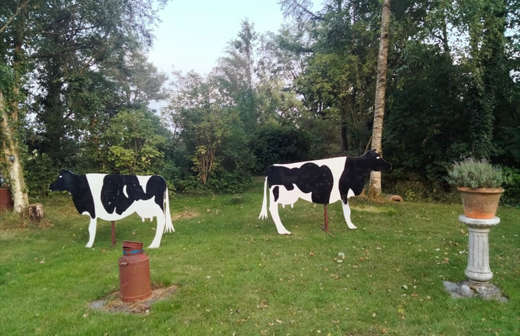 Natuurhuisje in Hoogkerk ( Groningen)