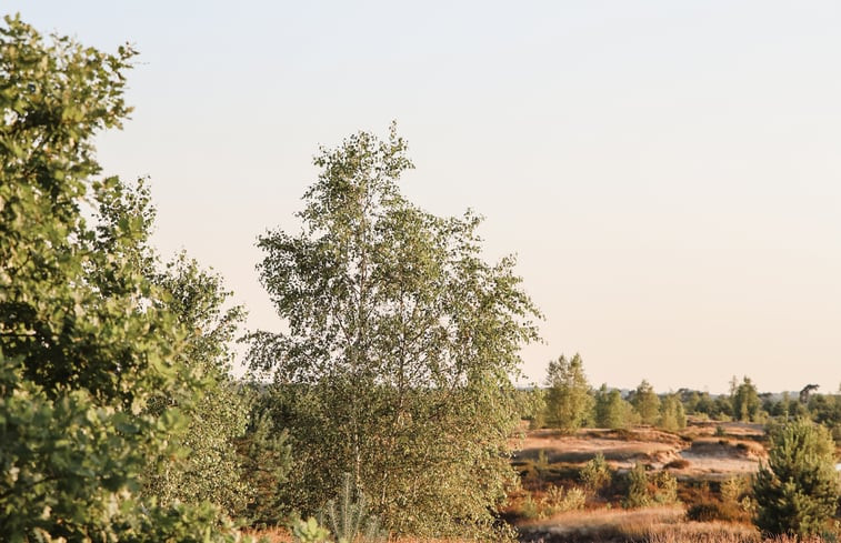 Natuurhuisje in Lierop