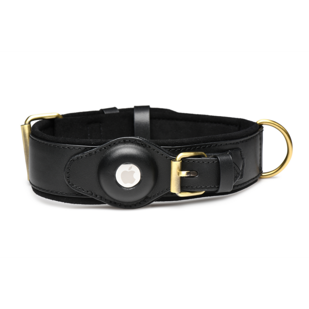 XR Brands Tracer - Tracking Collar - Black