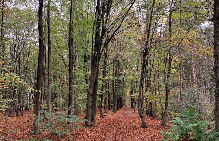 Natuurhuisje in Norg