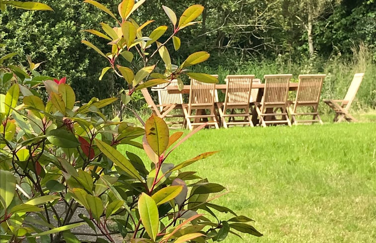 Natuurhuisje in Ellezelles