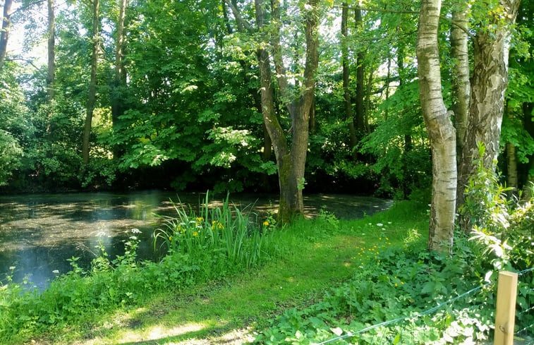 Natuurhuisje in Kollumerzwaag