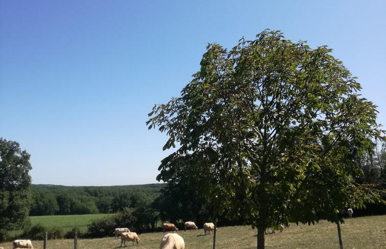 Natuurhuisje in Puylagarde