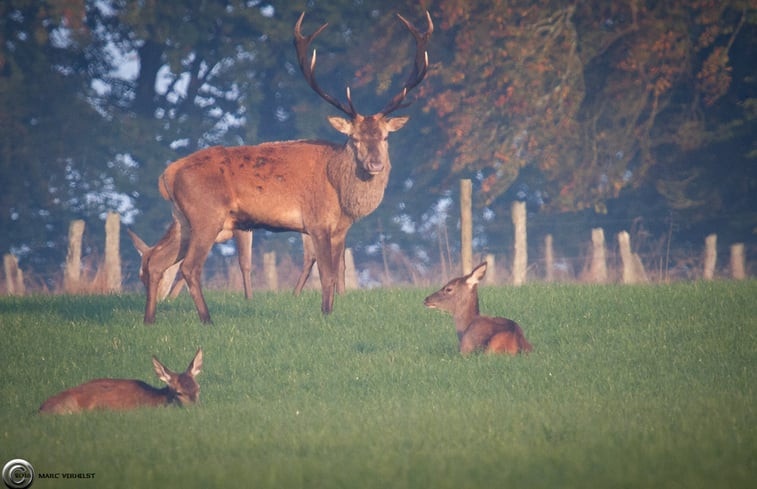 Natuurhuisje in Tailles