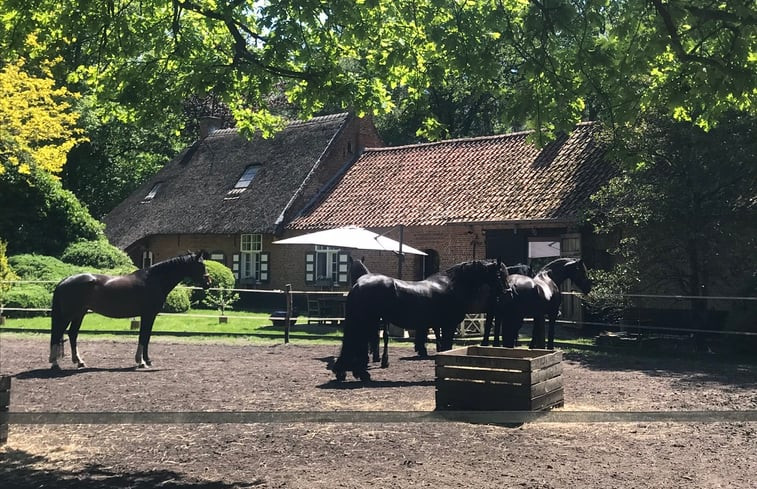 Natuurhuisje in Zoersel