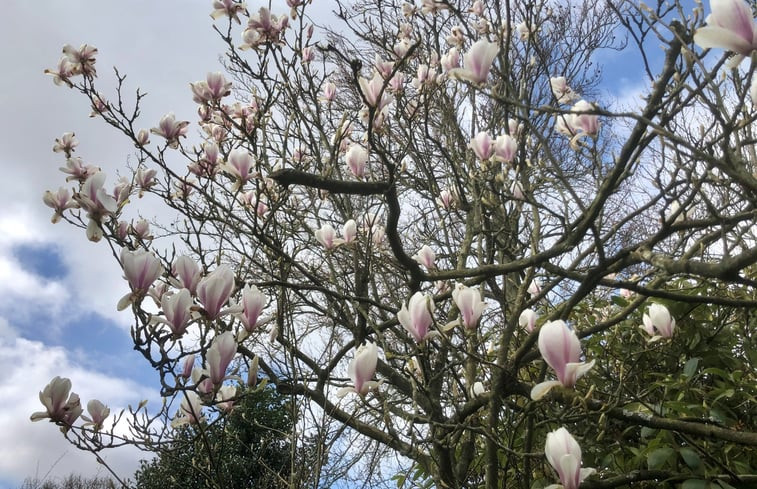 Natuurhuisje in Groet