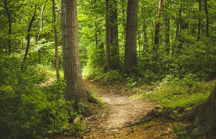 Natuurhuisje in Houffalize