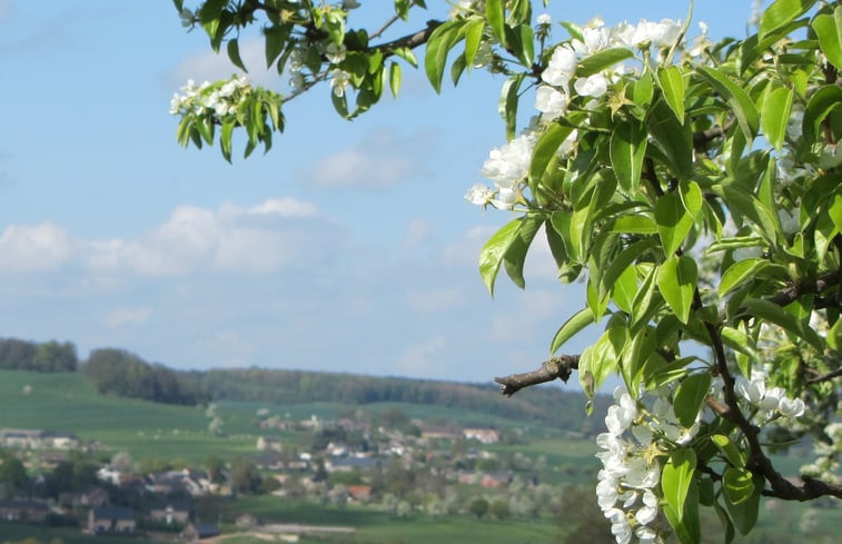 Natuurhuisje in Gemmenich