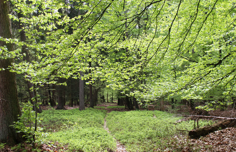 Natuurhuisje in Epe