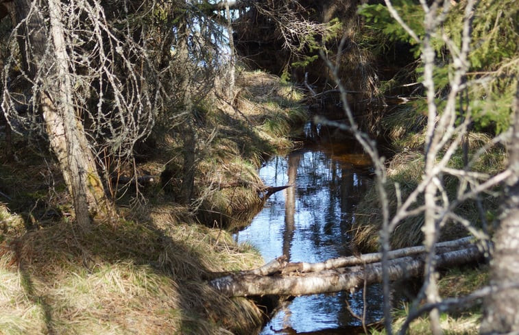 Natuurhuisje in gällö