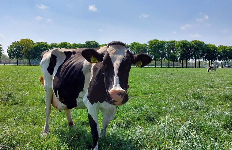 Natuurhuisje in Eibergen