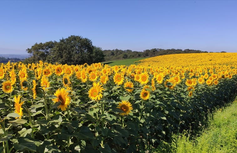 Natuurhuisje in balansun