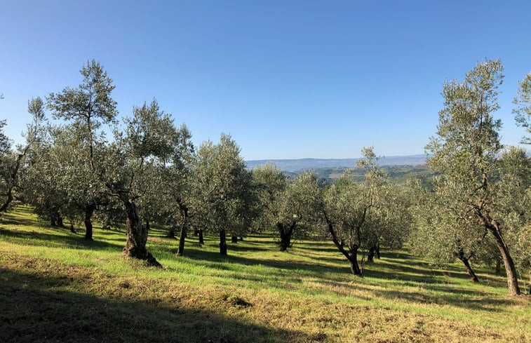 Natuurhuisje in Montespertoli