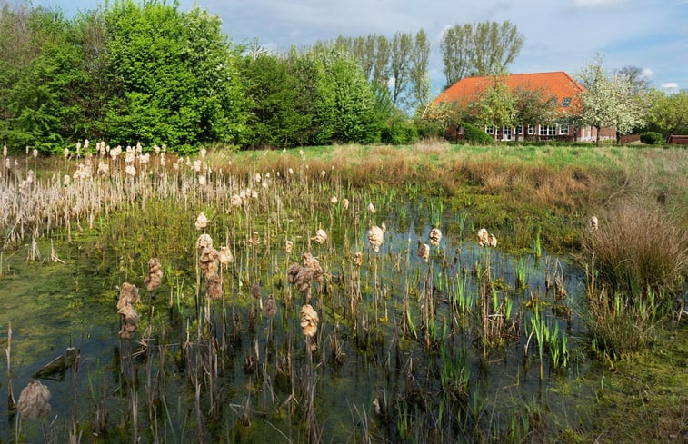 Natuurhuisje in Aalten