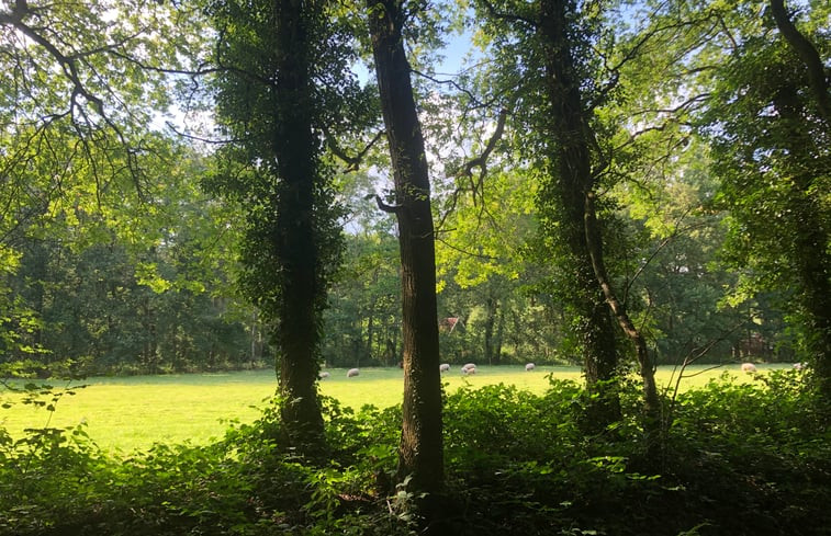 Natuurhuisje in Winterswijk Ratum