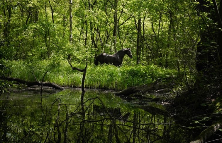 Natuurhuisje in Zoersel