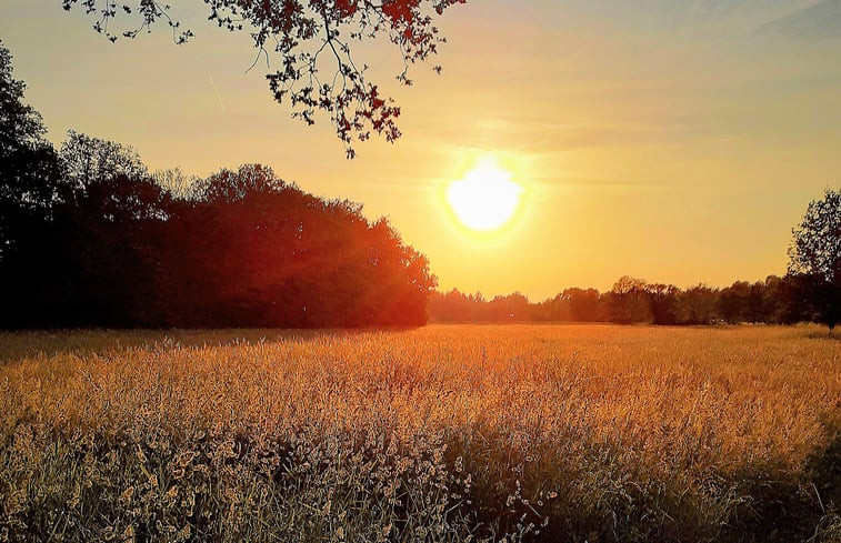 Natuurhuisje in Ruurlo