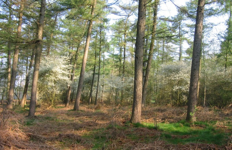 Natuurhuisje in Hengelo